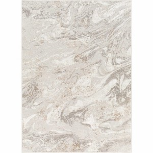 Hauteloom Cotterwood Gray Marble Rug - 1 of 4