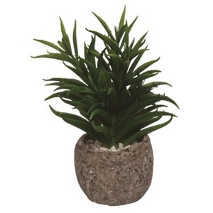 Transpac Plastic/Ceramic Succulent with Planter Home Decorations Spring - 1 of 1