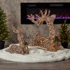 Christmas Natural Rattan Sitting Reindeer, 21in, Pre-Lit w/ 50 Warm White LED Lights, Plug In - 4 of 4