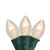Northlight C7 Christmas String Lights - Clear - 24' Green Wire - 25ct - 2 of 4