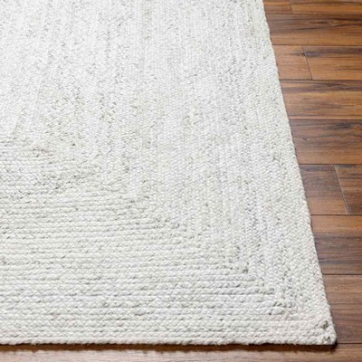 Ivory Handmade Braided Rectangular Stain-resistant Area Rug 2' x 3'