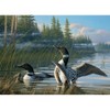 Cobble Hill: Common Loons 1000 Piece Puzzle - 2 of 4