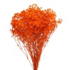 Unique Bargains Natural Dried Baby's Breath Flowers Branches for Wedding Party Decoration Orange 1 Pc - 3 of 4