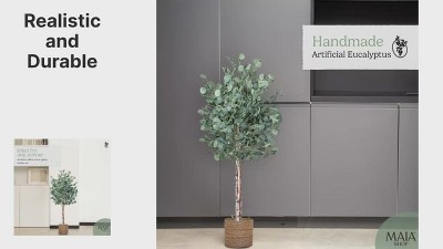 Maia 6ft Artificial Eucalyptus Tree with Natural Wood Trunk in Black Pot