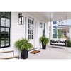 Crystorama Lighting Byron 3 - Light Pendant in  Matte Black - 4 of 4