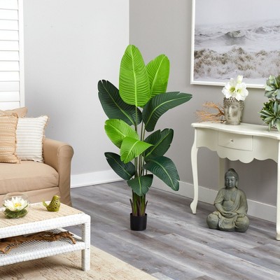 5' Green Silk Palm Tree with Black Pot