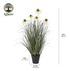 Dr.Planzen Artificial Onion Grass with White Daisy in Pot - 2ft /3ft Faux Potted Plant - Maintenance-Free Home Decor, Pet & Allergy Safe - 2 of 4