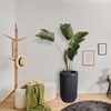 23 Inch Tall Planters Set of 2, Outdoor Self Watering Pots with Water Level Monitor for Indoor Plants, Living Room, Home,Patio, Porch, Garden, Black - 2 of 4