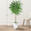 Artificial Ficus Tree, Ideal for Home Decor and Housewarming Gift - image 3 of 4