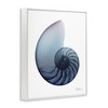 Stupell Industries Contemporary Nautilus Shell, 11" x 14" - 3 of 4