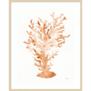 Amanti Art Shibori Coral III Peach by Mary Urban Wood Framed Wall Art Print - 1 of 4