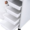 Karl Home Salon Trolley Storage Cart Beauty Hair Dryer Holder Black - 4 of 4