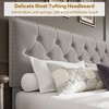 Velvet Bed Frame with Adjustable Headboard and 2 Drawers - 4 of 4