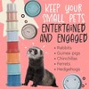 Evergreen Pet Supplies [16 Cups] Small Pets & Bunny Stacking Cups – for Rabbits & Chinchillas - Guinea Pig - Colorful Wheat Straw Rabbit - 2 of 4