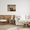 Stupell Industries Highland Cattle Shaggy Hair Country Animal Portrait Photography Canvas Art, 30" x 24" - 3 of 4