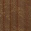 autumn brown