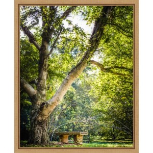 Amanti Art A Place to Ponder (Tree) by Matt Marten Canvas Wall Art Print Framed 16 x 20-in. - 1 of 4