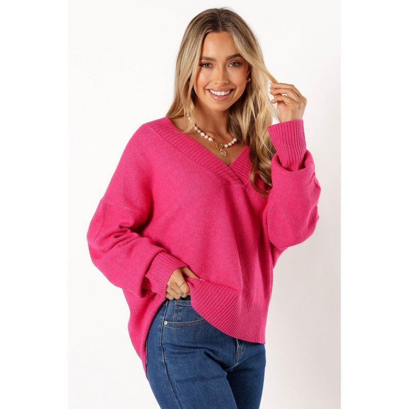 Petal and Pup Womens Palmer Vneck Knit Sweater, 2 of 7