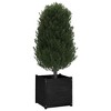 vidaXL Garden Planter Black 23.6"x23.6"x23.6" Solid Wood Pine - 4 of 4