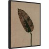 Amanti Art Calathea Brown by Pernille Folcarelli Canvas Wall Art Print Framed 18 x 24-in. - 3 of 4