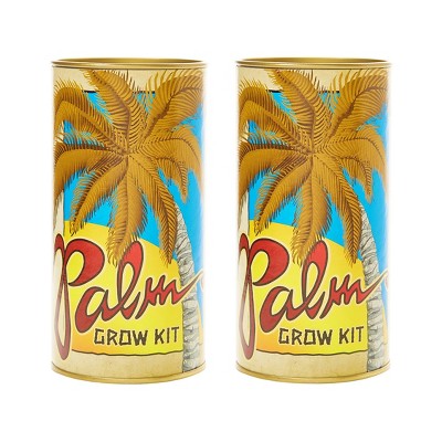 2pk Royal Palm Tree Seed Grow Kit - The Jonsteen Company