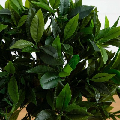3-Foot Green Plastic Bay Leaf Topiary in Black Pot