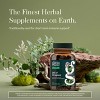 Gaia Herbs Oil of Oregano - Immune & Antioxidant Support Supplement - With Oregano Oil, Carvacrol - 3 of 4