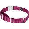 Country Brook Petz Heavyduty Nylon Martingale with Premium Buckle - 2 of 4