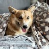1 Pack 3 Puppy Blankets Super Soft Warm Sleep Mat Grey Cute Print Fluffy Fleece Pet Flannel Throw Dog Blankets for Small Dogs Cats - 2 of 4