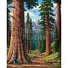 Sequoia National Park by Boardwalk - 500 Piece Jigsaw Puzzle - 2 of 4