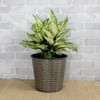 NAYSAYE 2 Pack Wicker Planter for Indoor Outdoor Plants Flowers Herbs with Built In Reservoir for Easy Care, Gray, 13.4"*13.4"*12.2" - 2 of 4