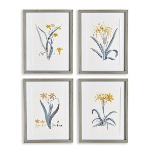 Plum & Post Daffodil Prints, Set Of 4 - 1 of 3