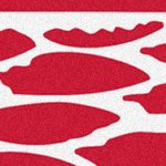 detroit red wings
