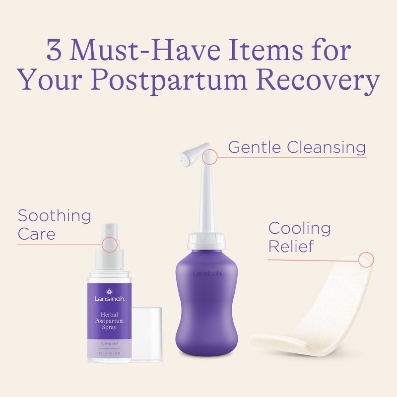 Lansinoh Postpartum Care and Recovery Kit - 8pc, 3 of 10