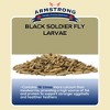Armstrong Wild Bird Food Black Soldier Fly Larvae, 4lbs - 3 of 4