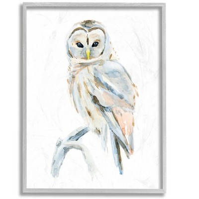 Stupell Industries Winter Artic Owl Portrait Perched on Tree Branch