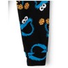 The Children's Place Toddler Boys Long Sleeve Cookie Monster™ Snug Fit Cotton Pajamas - 4 of 4