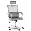 DOMETOUR Ergonomic Mesh Home Office Computer Chair - 2 of 4