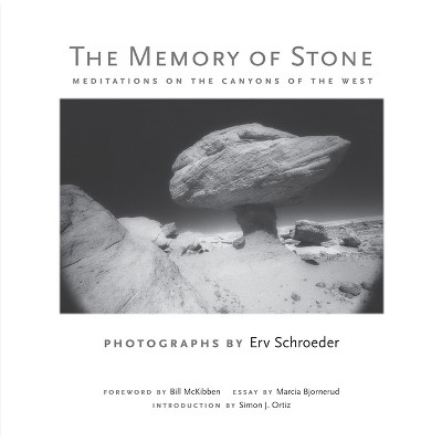 The Memory of Stone - by  Erv Schroeder (Hardcover)