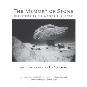 The Memory of Stone - by  Erv Schroeder (Hardcover) - 1 of 1