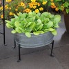Oval Galvanized Decorative Tub - Achla Designs - 3 of 3