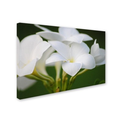 Trademark Fine Art - Monica Mize 'Picture Perfect' Matted Framed Art