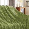 Inhand Flannel Throw Blanket, 50”x60” Super Soft Fuzzy Blanket for Couch Sofa Bed Office, Cozy Plush Lightweight Blanket Throw Size - 3 of 4