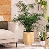31" Marble Finish Self-Watering Planters Set of 2, Water Level Monitor, Ideal for Living Room, Office, Patio, Porch, and Garden, Black - 3 of 4
