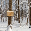 Uncle Dunkels Winter Bird Nesting Box, Handcrafted Wood Winter/Summer Outdoor Shelter - 2 of 4