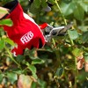 FELCO 100, Cut and Hold Forged Aluminum Rose Pruner, Certified by World Federation of Roses, Swiss Made - 3 of 4