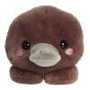 Aurora Small Pimmy Platypus Too Cute Playful Stuffed Animal Brown 9" - 2 of 4