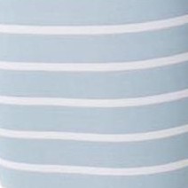 zebra seafoam striped