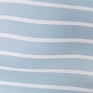 zebra seafoam striped