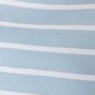zebra seafoam striped